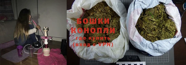 гашиш Богданович