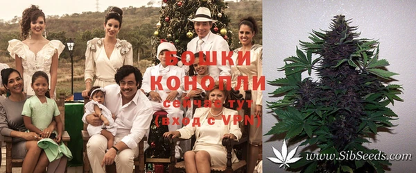 ПСИЛОЦИБИНОВЫЕ ГРИБЫ Баксан