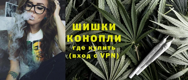 ПСИЛОЦИБИНОВЫЕ ГРИБЫ Баксан