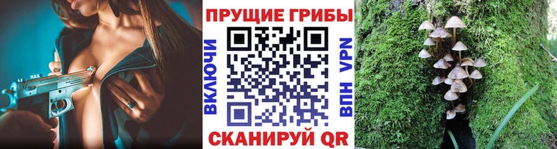 Купить закладки Удачный Псилоцибиновые грибы ЛСД